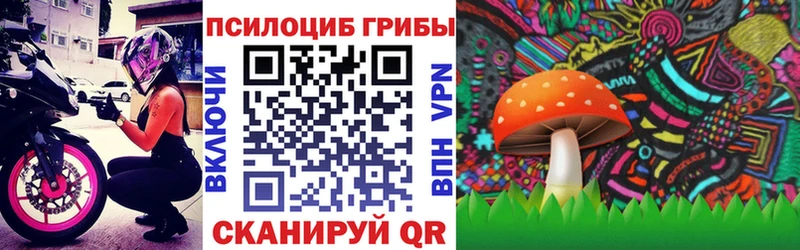 дарк нет формула Воткинск Псилоцибиновые грибы GOLDEN TEACHER