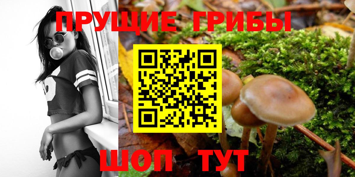 Альфа ПВП Воткинск