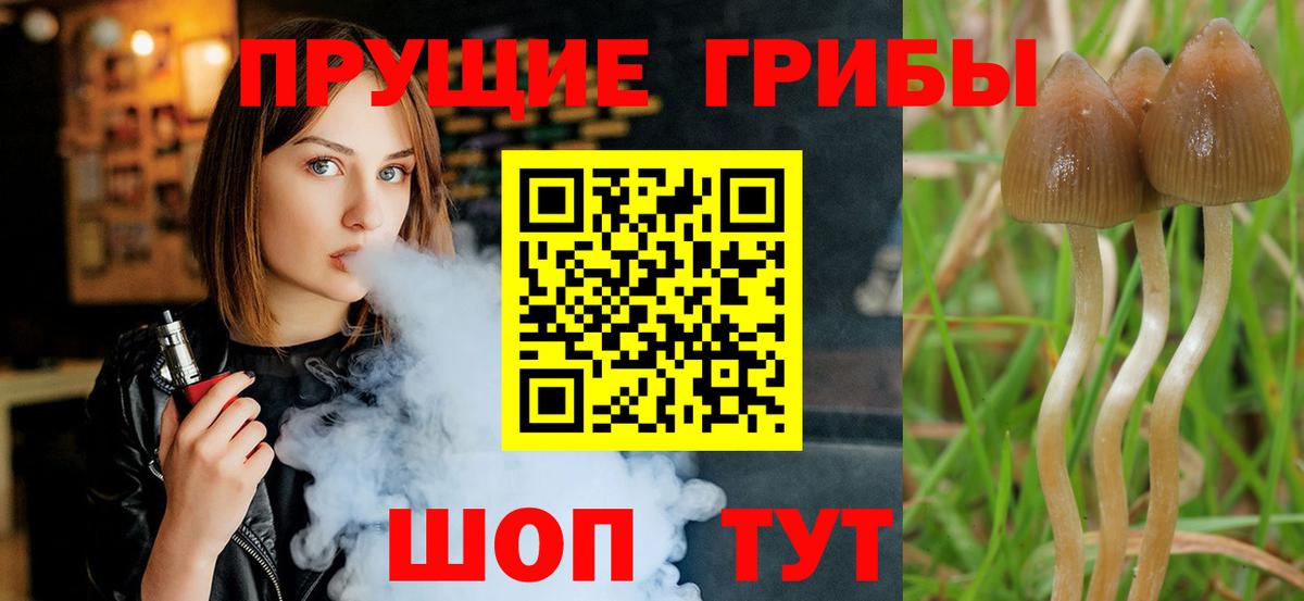 Галлюциногенные грибы Cubensis  Воткинск 